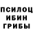 Псилоцибиновые грибы прущие грибы miss wjfft